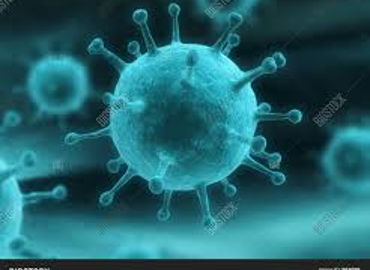 virus.png